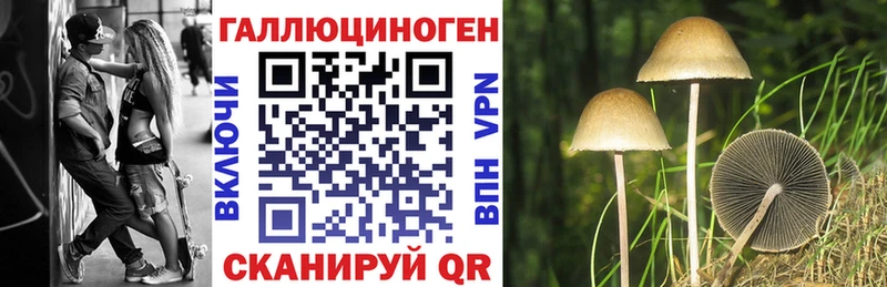 kraken ССЫЛКА  Туран  Псилоцибиновые грибы мухоморы  где найти  